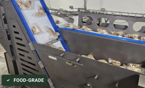 Pouch Feeding System