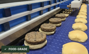 Food Placement System